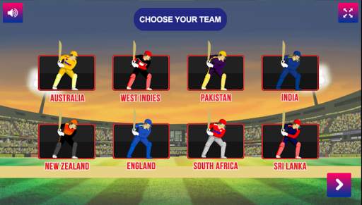 Cricket 2019 World Cup Fever screenshot 2