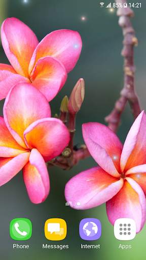 Tropical Live Wallpaper screenshot 5