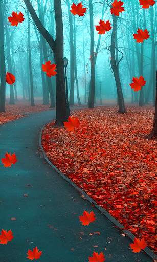 Fall Live Wallpaper screenshot 5