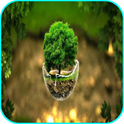 Nature Live Wallpaper 1.0.10