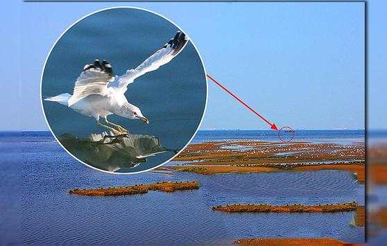 Mega Zoom Camera Pro screenshot 5