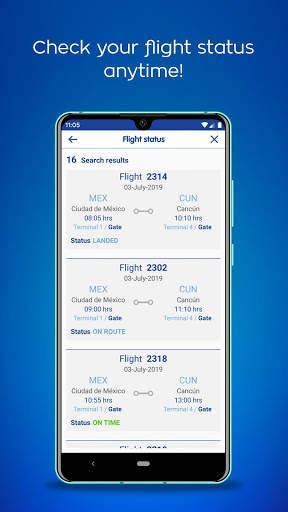 Interjet screenshot 3