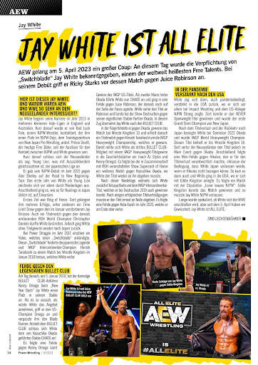 Power Wrestling screenshot 14