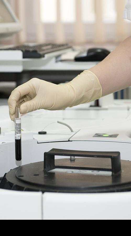 Diagnostic et Traitement des Maladies 1 تصوير الشاشة