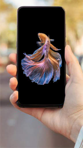 Wallpaper Ikan Cupang HD 🐟 screenshot 3