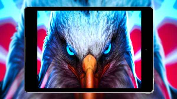 Eagle Wallpaper HD screenshot 11