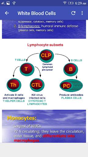 Hematology Overview screenshot 4