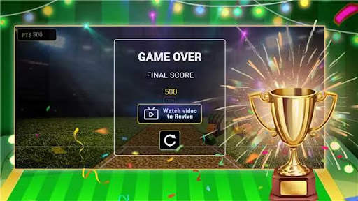 Cricket Bowler screenshot 6