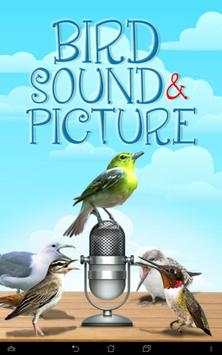 Bird Sound and Picture screenshot 6