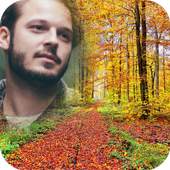 Forest Frames 3.0