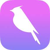 Bulbul App - Stylist on demand