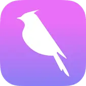 Bulbul App - Stylist on demand