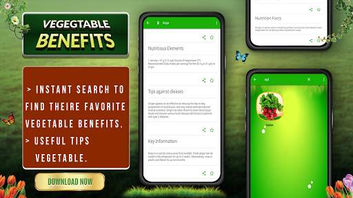 Vegetable Benefits screenshot 3