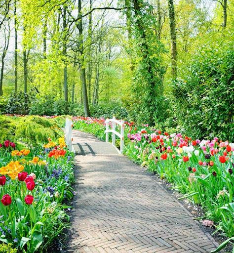 Spring Garden Wallpaper screenshot 1