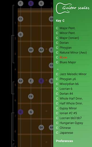 Guitar Scales & Patterns  *NO ADS* screenshot 8