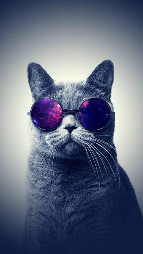 Cool Wallpaper - HD backgrounds screenshot 16