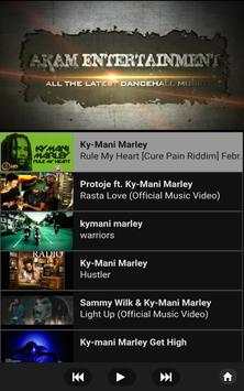 Reggae TV screenshot 4