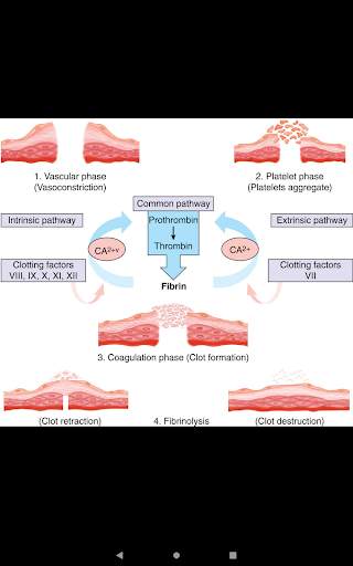 Schwartz’s Principles of Surgery, 11th edition screenshot 22