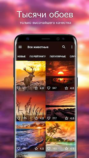 Обои закат | Закаты от 7Fon скриншот 1