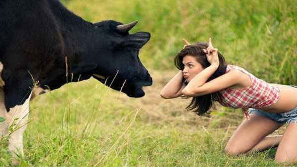 Free Funny Videos Top HD screenshot 4