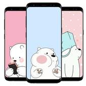 Cute Bears HD Wallpaper :Panda and Bears Wallpaper 1.0