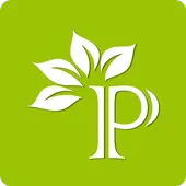 Palle Panta icon