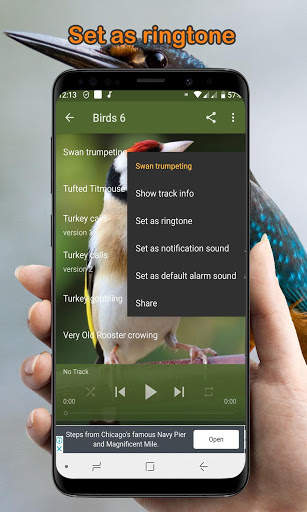 Bird Calls, Sounds, & Ringtones (Offline) скриншот 3