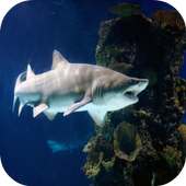 Shark Jigsaw Puzzle: Free logo