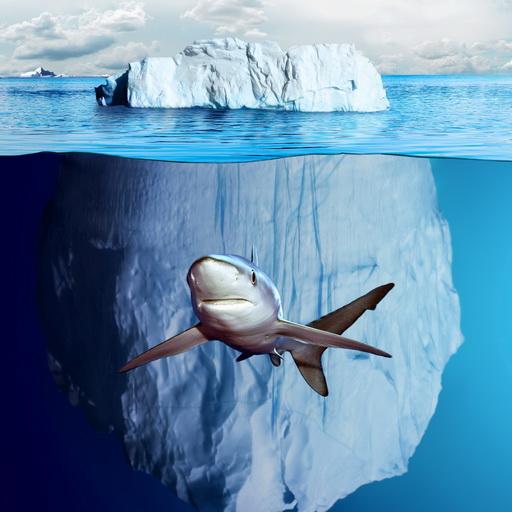 Cute shark lost आइकन