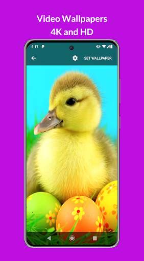 VideoHub - Video Live Wallpapers screenshot 2