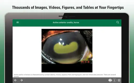 MSD Vet Manual screenshot 14