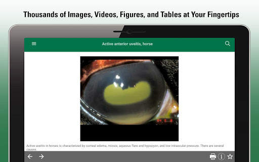 MSD Vet Manual screenshot 14