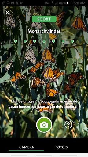 Seek door iNaturalist screenshot 1