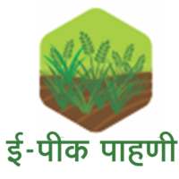 E-Peek Pahani icon