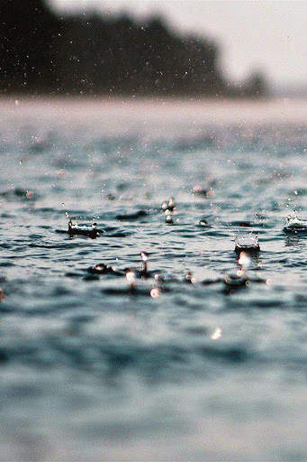 HD Wallpapers - Rain Edition screenshot 5
