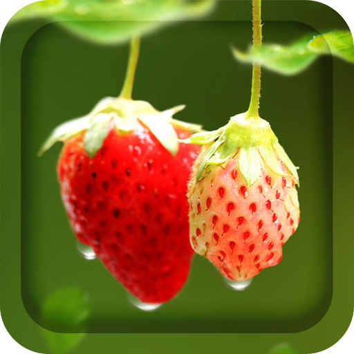 Red Strawberry Live Wallpaper icon