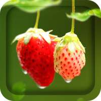 Red Strawberry Live Wallpaper logo