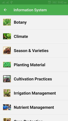 Banana Expert System screenshot 5