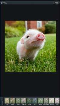 Photo Apps Free-Photo Director screenshot 1