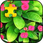 Garden Jigsaw Puzzles Game logo
