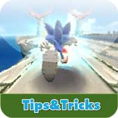 Guide For Sonic Dash 1.01