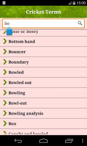 Cricket Terms screenshot 4