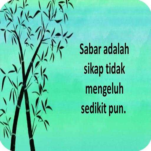 Status Kata Bijak screenshot 8