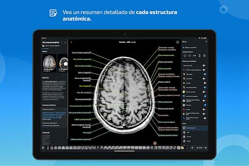 e-Anatomy screenshot 13