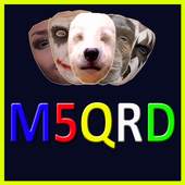 Funny Msqrd me 0.5