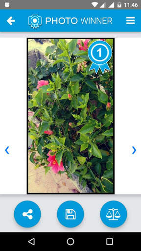 PhotoWinner, mejora tu foto en un solo clic screenshot 5