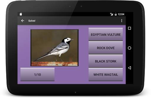 104 Birds Quiz screenshot 16