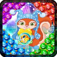 PET BUBBLE SHOOTER