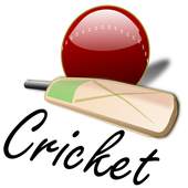 Easy Cricket 1.2