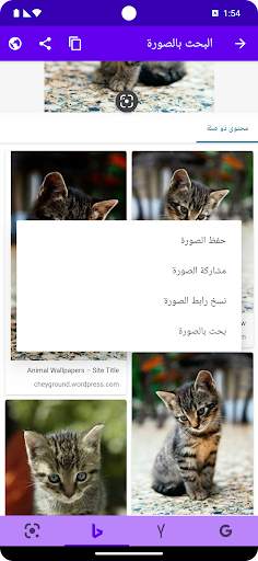 البحث بالصورة 6 تصوير الشاشة